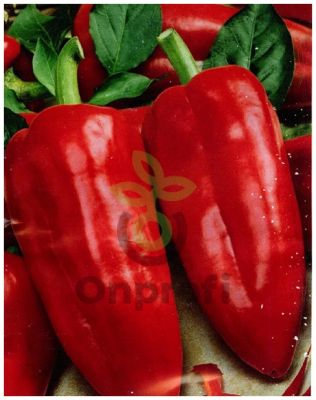 Перец Виктория,