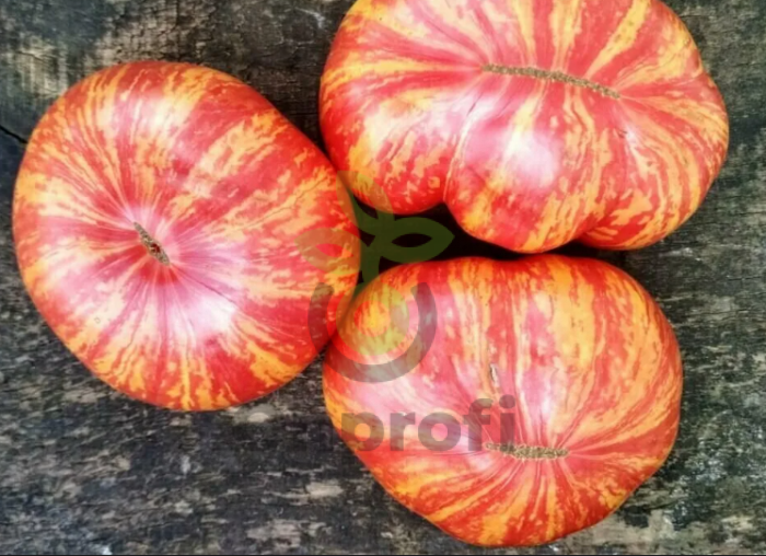 Томат Винтаж вайн, 0,5гр (фасовка)