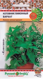 (м.ф.) Котовник лимонный Бархат, 0,1г