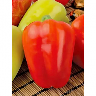 Перец Илона F1,