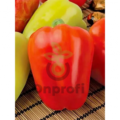 Перец Илона F1,