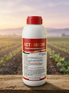 Инсектицид Актимор (аналог Вертимек),