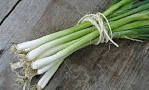 Лук батун Апрельский, 0,5гр (фасовка)