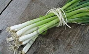 Лук батун Апрельский, 0,5гр (фасовка)