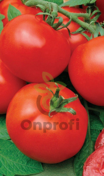 Томат Волгоградский скороспелый 323, 0,5гр (фасовка)