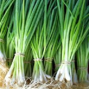 Лук батун Изумрудный, 0,5гр (фасовка)