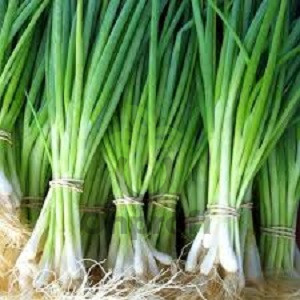 Лук батун Изумрудный, 0,5гр (фасовка)