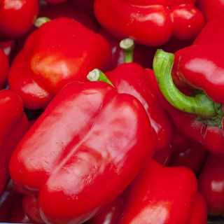 Перец Корнелия F1,