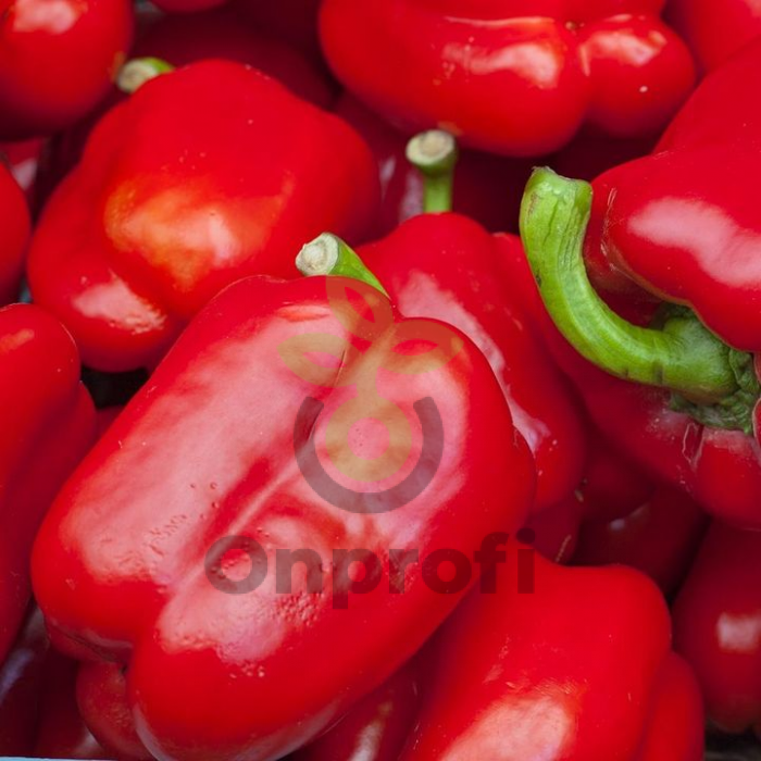 Перец Корнелия F1,
