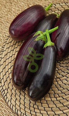 Баклажан Фрегат, 50гр