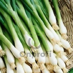 Лук батун Лонг Токио, 0,5гр (фасовка)