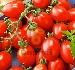 Томат Чико 3, 0,5гр (фасовка)