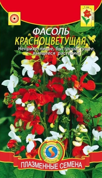 (м.ф.) Фасоль декоративная Красноцветущая Плазма