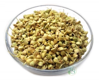 Семена для проращивания Гречка Зеленая, 500гр