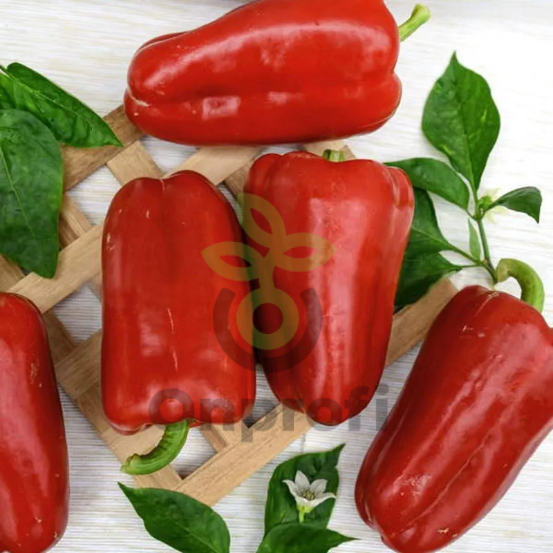 Перец голиаф. Семена перец адмирал f1. Перец сладкий ред найт f1. Красный бык нк f1 перец. Перец сладкий воловье ухо.