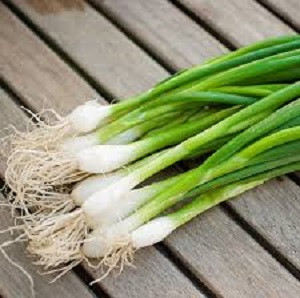 Лук батун Майский, 0,5гр (фасовка)