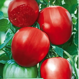 Томат Чудотворец, 0,5гр (фасовка)