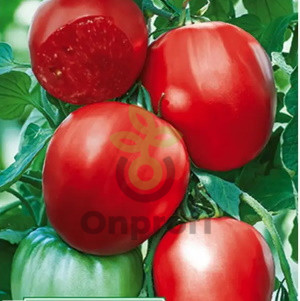 Томат Чудотворец, 0,5гр (фасовка)