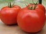 Томат Афродита F1,