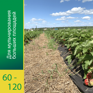 Агроволокно Агротекс Черный 120 (с повышенным УФ), (1,6м х 50м) + Колышки универсальные 10шт