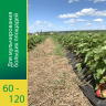 Агроволокно Агротекс Черный 120 (с повышенным УФ), (1,6м х 50м) + Колышки универсальные 10шт