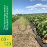 Агроволокно Агротекс Черный 120 (с повышенным УФ), (1,6м х 50м) + Колышки универсальные 10шт