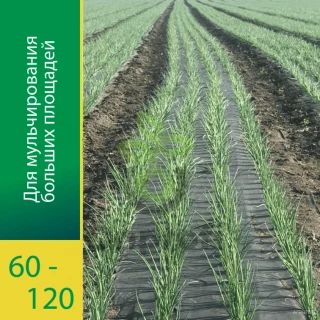 Агроволокно Агротекс Черный 120 (с повышенным УФ), (1,6м х 50м) + Колышки универсальные 10шт
