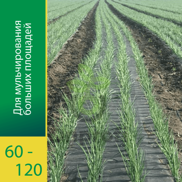 Агроволокно Агротекс Черный 120 (с повышенным УФ), (1,6м х 50м) + Колышки универсальные 10шт