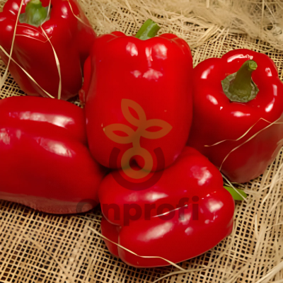 Перец Солист,