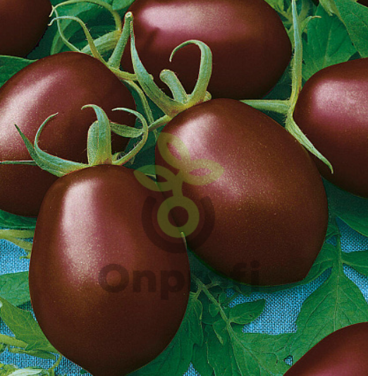 Томат Де барао, 0,5гр (фасовка)