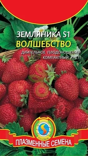 (м.ф.) Земляника S1 Волшебство, 10шт