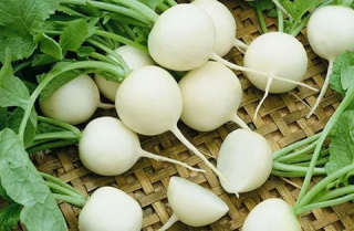 Редис Октава,