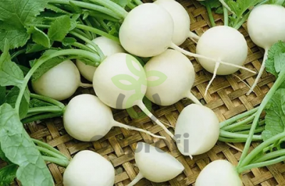 Редис Октава,