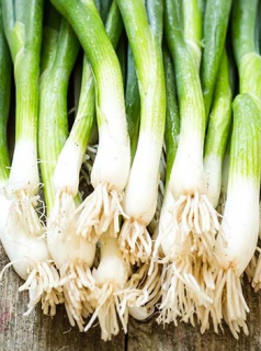 Лук батун Русский зимний, 0,5гр (фасовка)