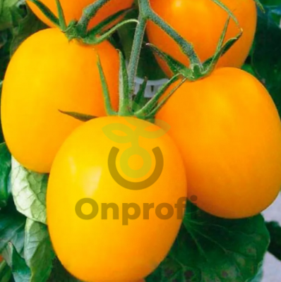 Томат Де Барао желтый, 0,5гр (фасовка)