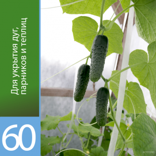 Агроволокно Агротекс Белый 60 (с повышенным УФ), (1,6м х 200м)