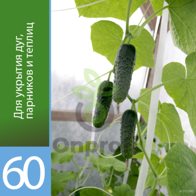 Агроволокно Агротекс Белый 60 (с повышенным УФ), (1,6м х 200м)