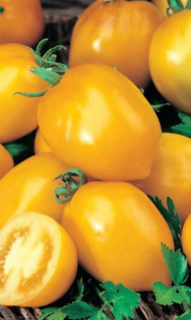 Томат Де Барао золотой, 0,5гр (фасовка)