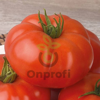 Томат Армада F1,