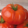 Томат Армада F1,