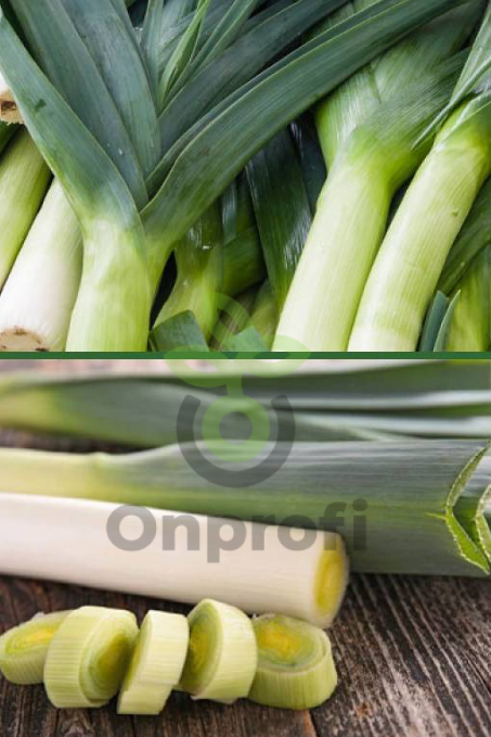 Лук порей Голиаф, 0,5гр (фасовка)