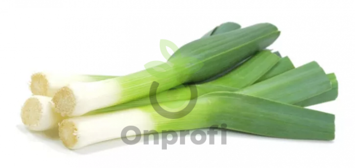 Лук порей Карантаский, 0,5гр (фасовка)