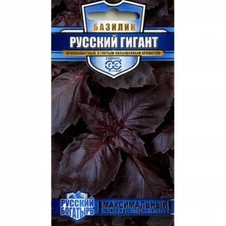 (м.ф.) Базилик Русский гигант фиолетовый 0,1г ДУЭТ