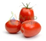 Томат Рио Фуэго, 1гр (фасовка)