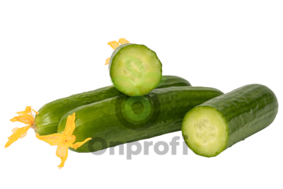 Огурец Ермак F1,