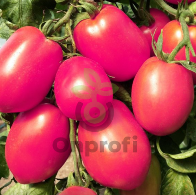 Томат Де Барао розовый, 0,5гр (фасовка)