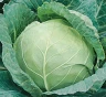 Капуста белокочанная Гарант F1, ~250шт (фасовка)