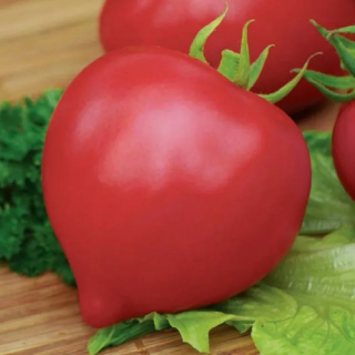 Томат Вояж F1,