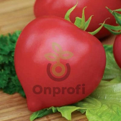 Томат Вояж F1,