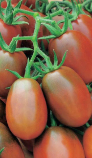 Томат Де Барао черный, 0,5гр (фасовка)